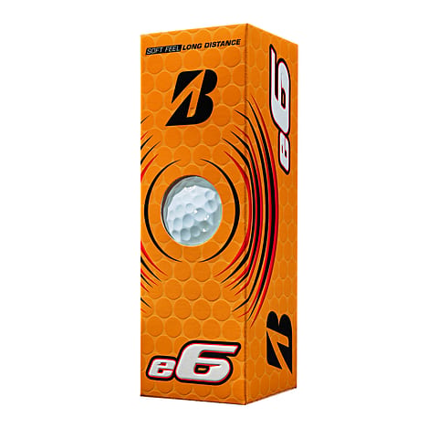 Bridgestone 2023 E6 White