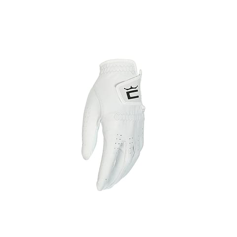 Pur Tour Glove LH white 21