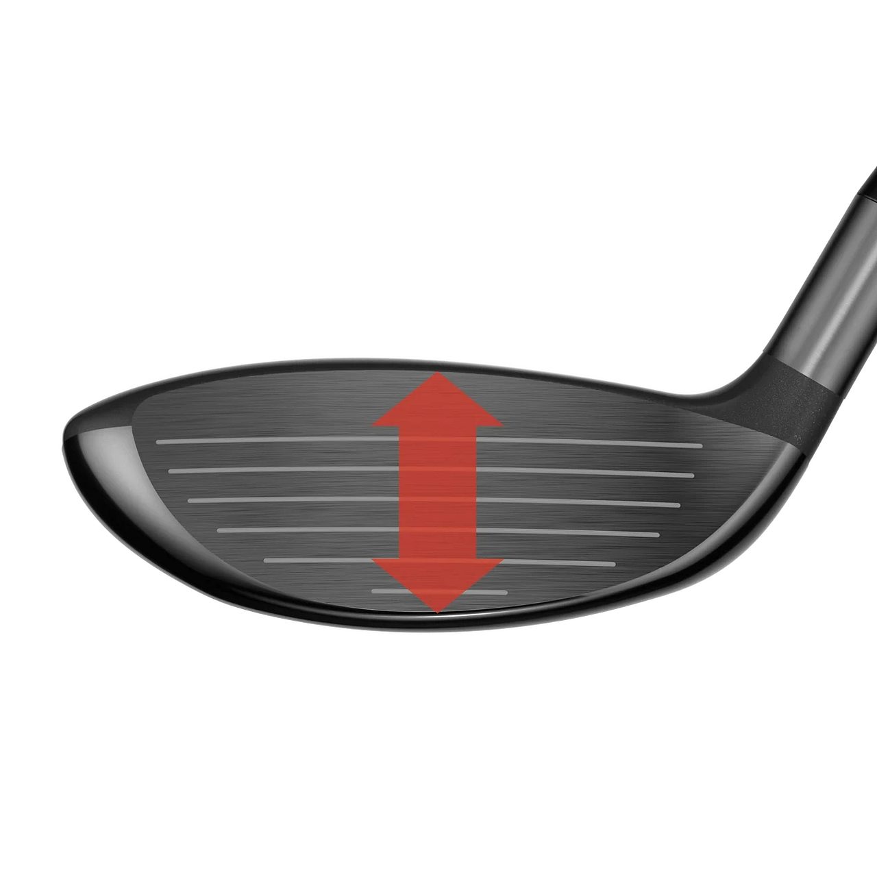 Höggflötur Callaway Quantum Mini Spinner með ör sem sýnir hæð höggflatarins